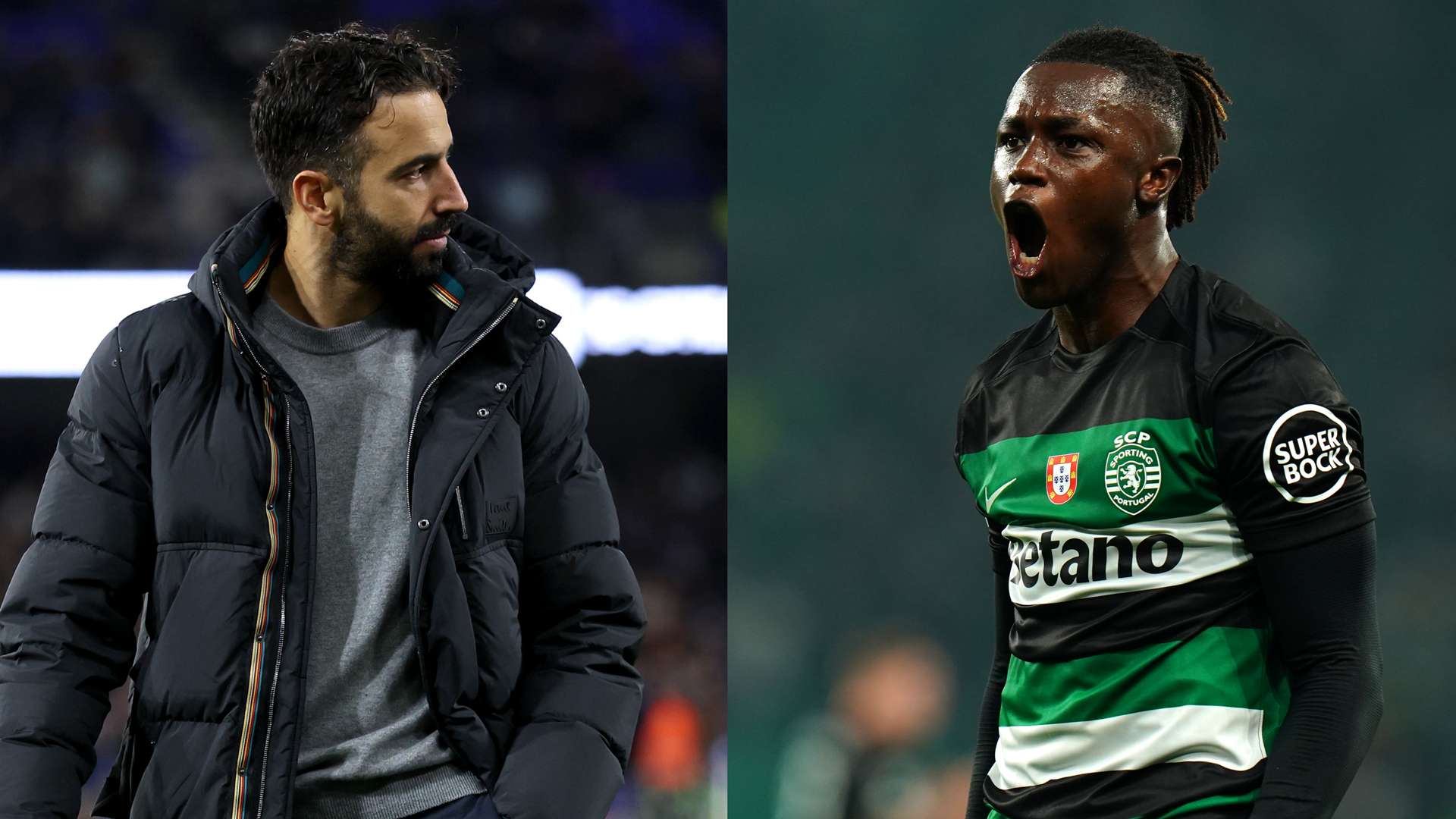 育教育领域 育教育领域